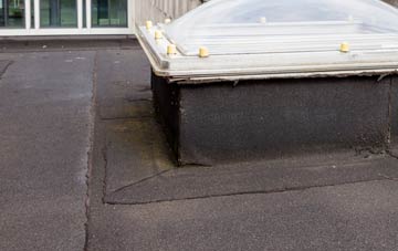 disadvantages of Callaghanstown flat roofs