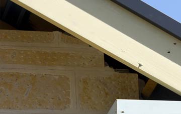 soffit repair Callaghanstown