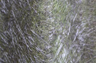 Callaghanstown fibreglass roof work